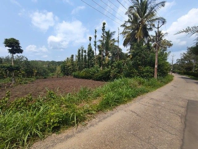 V633+P6R, Kolavally, Padichira, Kerala 673579, India preview 2