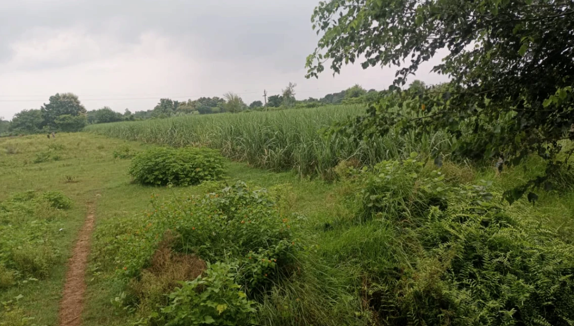 Bhinga, Sharavasti, Uttar Pradesh 271831, India