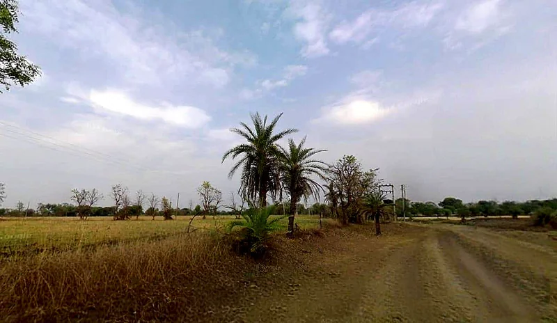 C98X+93P, Richhoda, Madhya Pradesh 465220, India preview 3