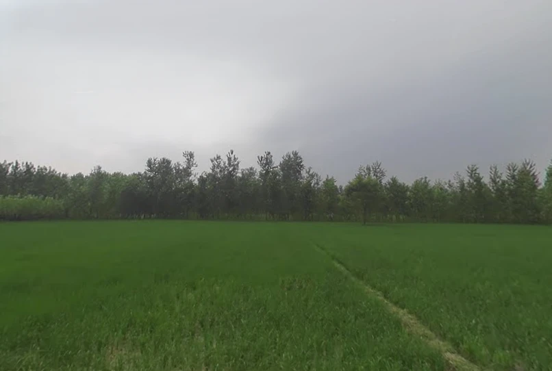 Chilkana Sultanpur, Uttar Pradesh 247231, India
