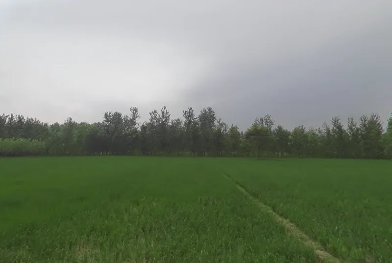 Chilkana Sultanpur, Uttar Pradesh 247231, India preview 2