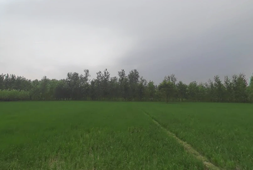 Chilkana Sultanpur, Uttar Pradesh 247231, India