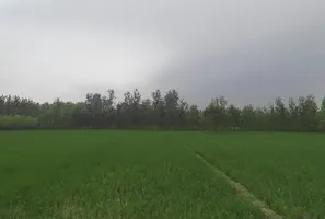 Chilkana Sultanpur, Uttar Pradesh 247231, India preview 2