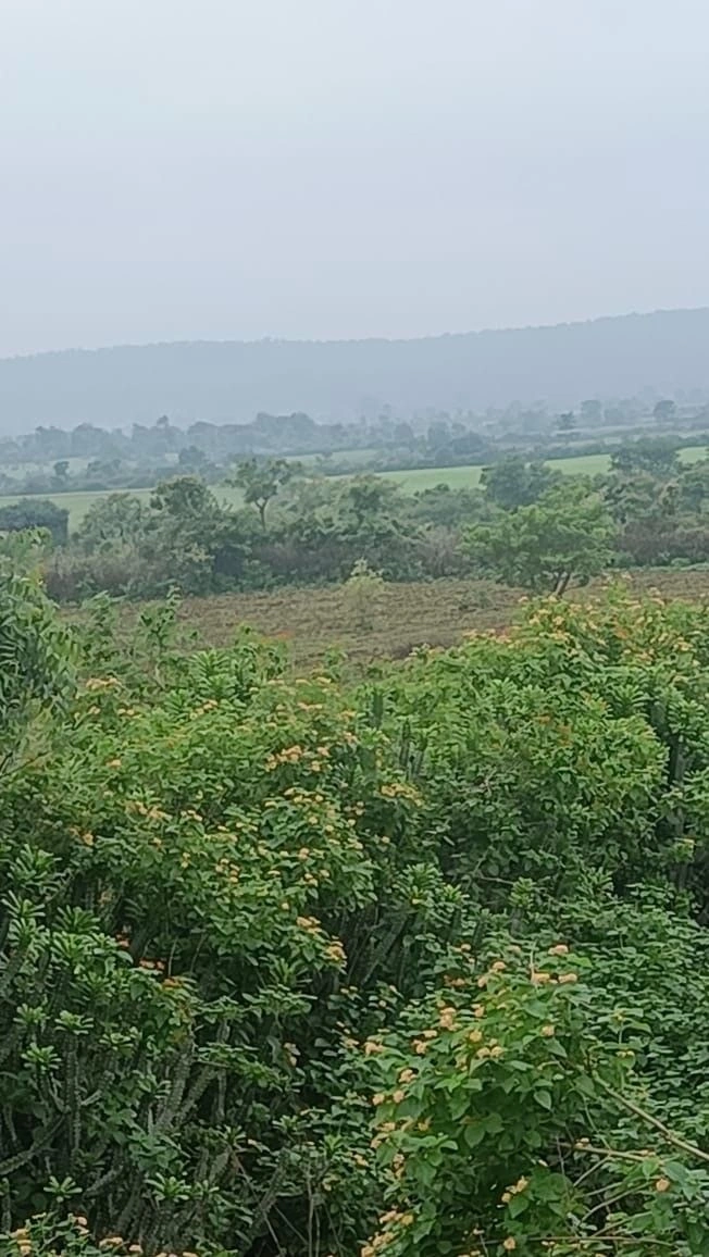 Indra Nagar Colony, Dehradun, Uttarakhand, India