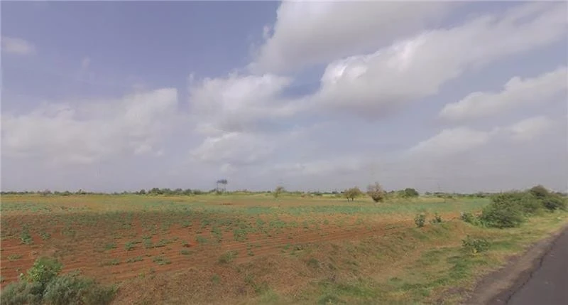 8JF5+Q9 Rajansar, Gujarat, India