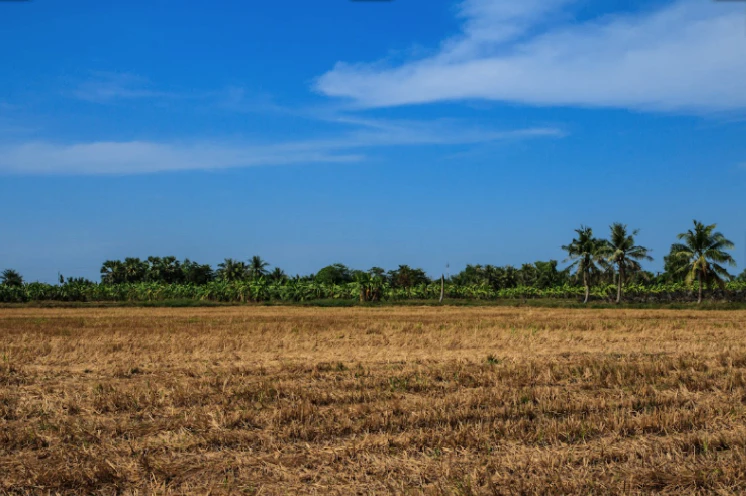 6 06, Sahejpur, Rajasthan 301026, India