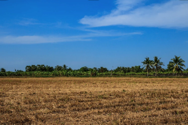 6 06, Sahejpur, Rajasthan 301026, India