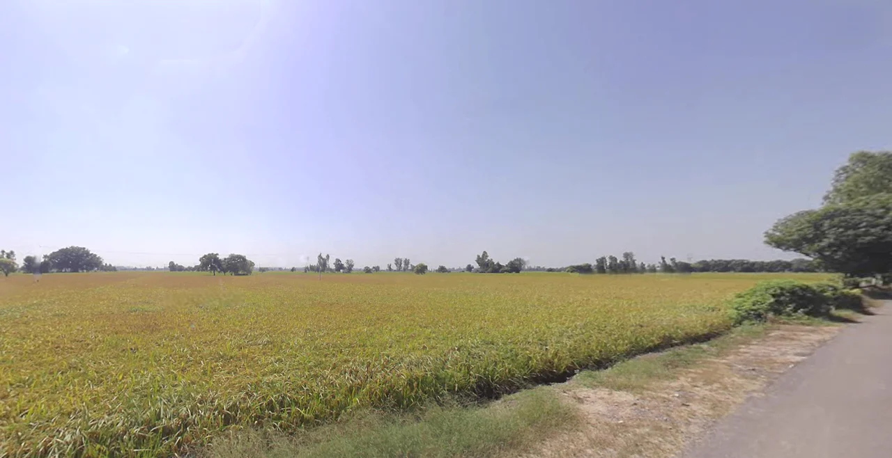 Domjur, Howrah, West Bengal, India preview 3