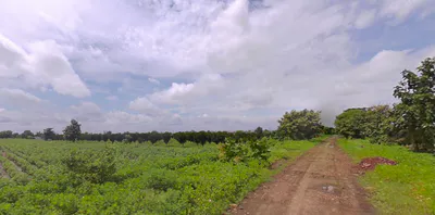 Dhapewada, Kalmeshwar, Maharashtra 441501, India preview 3