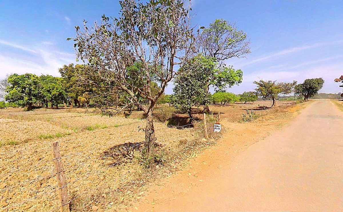 Marichamal, Odisha 763008, India