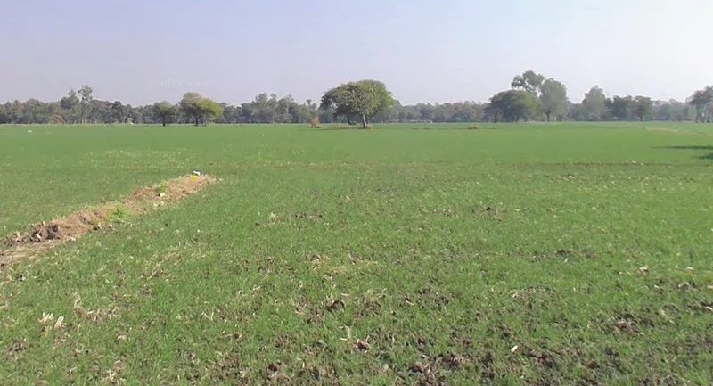 Kushalpura, Madhya Pradesh 462044, India preview 2