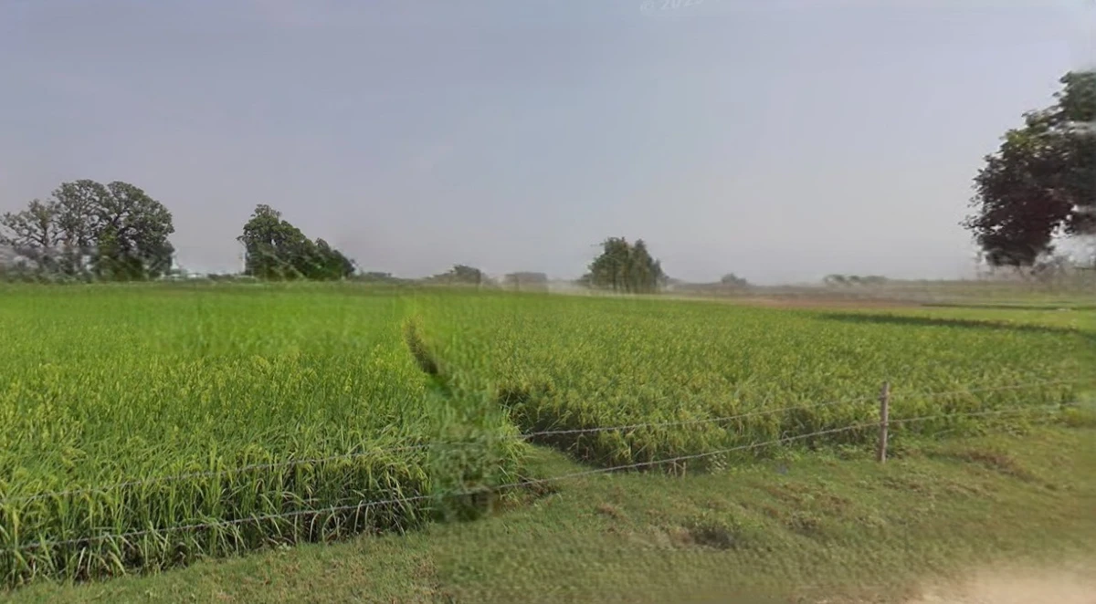 Satna, Madhya Pradesh, India