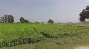 Satna, Madhya Pradesh, India preview 3