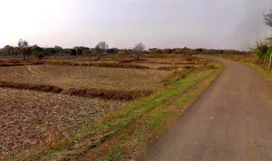 Gota, Chhattisgarh, India preview 2