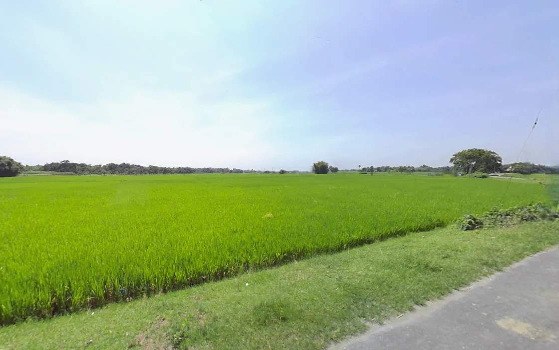 Siliguri, West Bengal, India preview 3