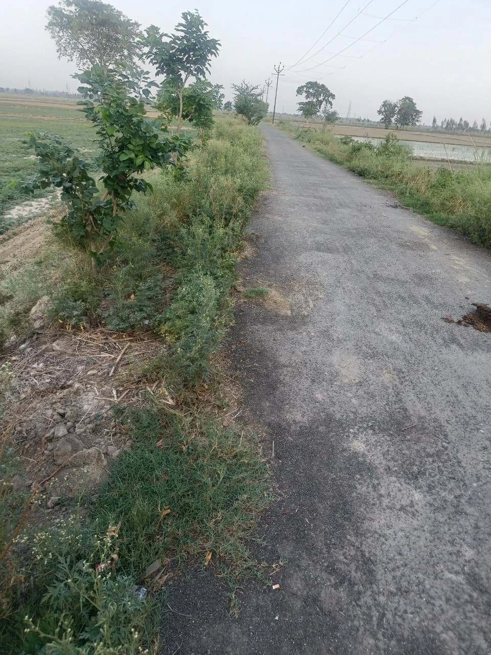 Aou, Rajasthan, India