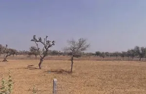 75WF+5Q Danta, Rajasthan, India preview 2