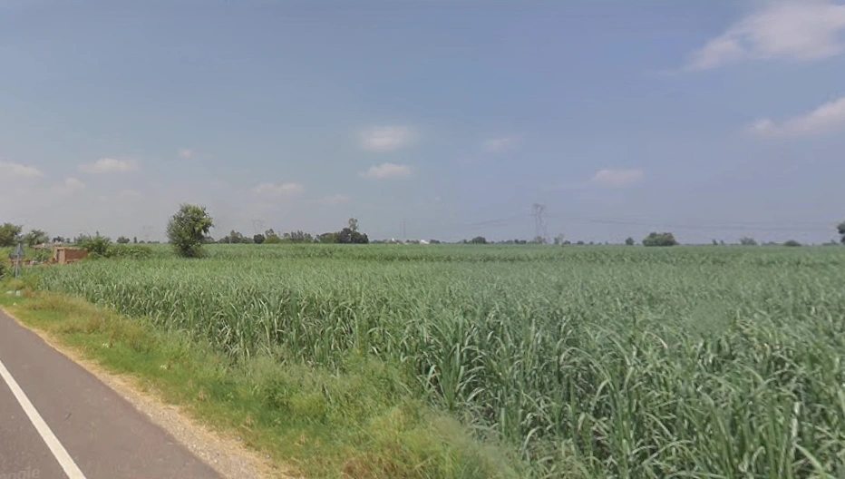 Sarai, Uttar Pradesh 251309, India