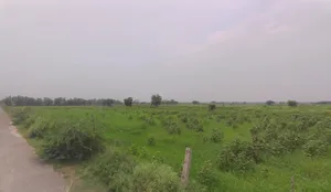 Panagarh, West Bengal 713148, India preview 2