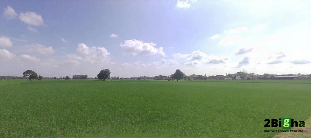 Nilokheri, Haryana 132117, India