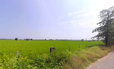 Barara, Haryana 133201, India preview 2