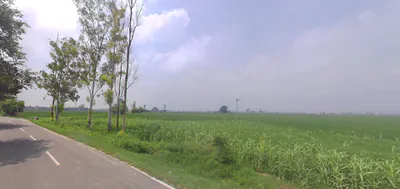 Kalheri, Haryana 132114, India preview 2