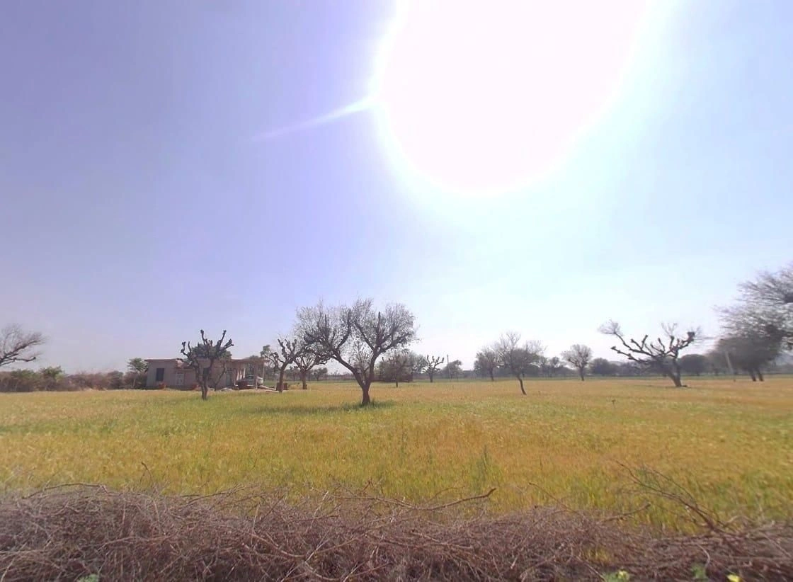 C73X+RJ Samer, Rajasthan, India