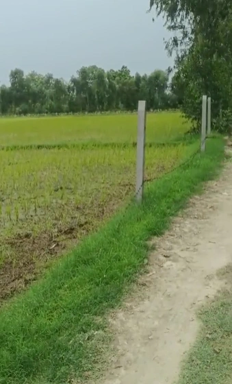 Maharajganj, Raebareli, Uttar Pradesh 229306, India