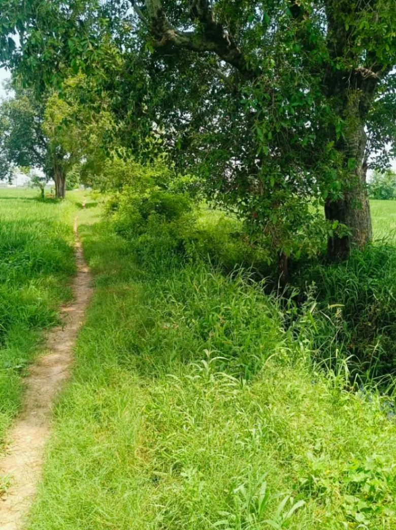Borpa, Mathura, Uttar Pradesh, India