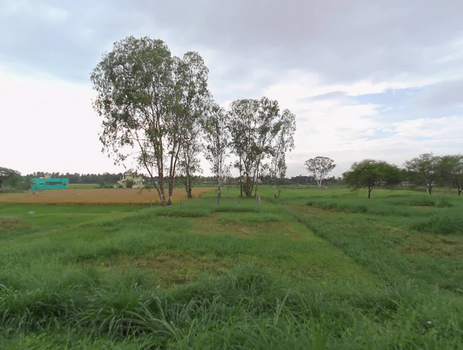 Channapatna, Karnataka 562160, India