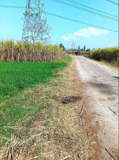 Laksar, Uttarakhand 247663, India preview 3