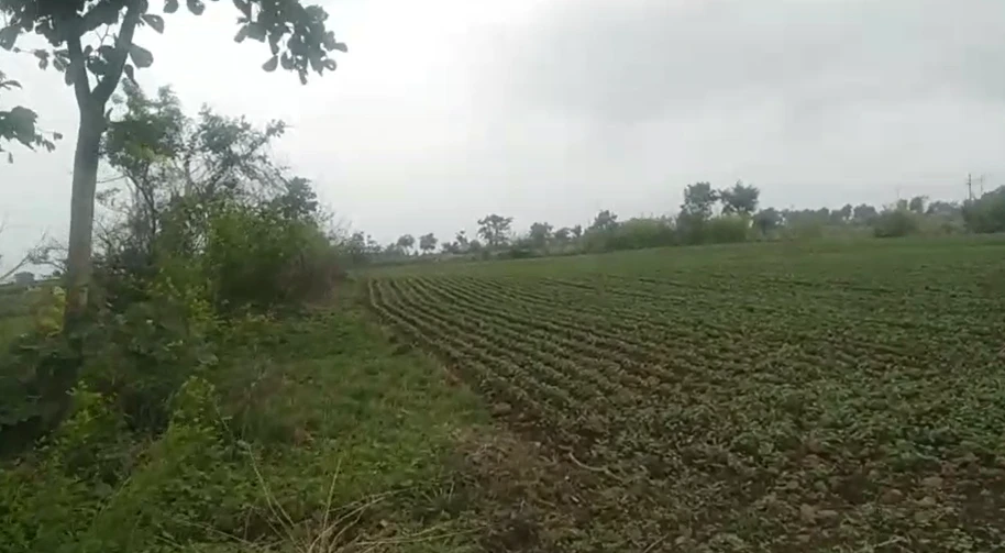 683G+6WX, Dewas, Jamoniya, Madhya Pradesh 455116, India