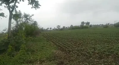 683G+6WX, Dewas, Jamoniya, Madhya Pradesh 455116, India preview 3