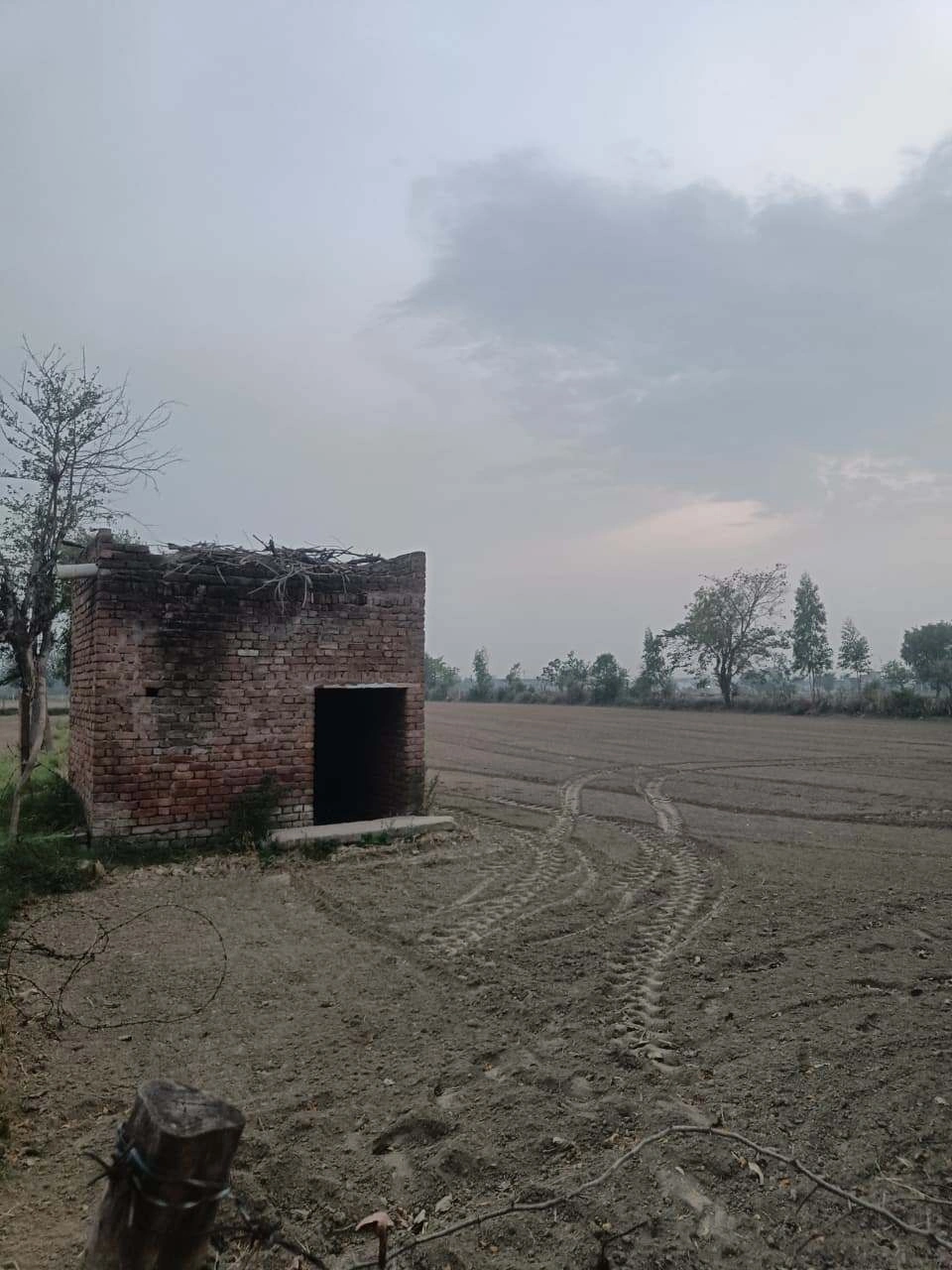 Barhana, Uttar Pradesh, India preview 3