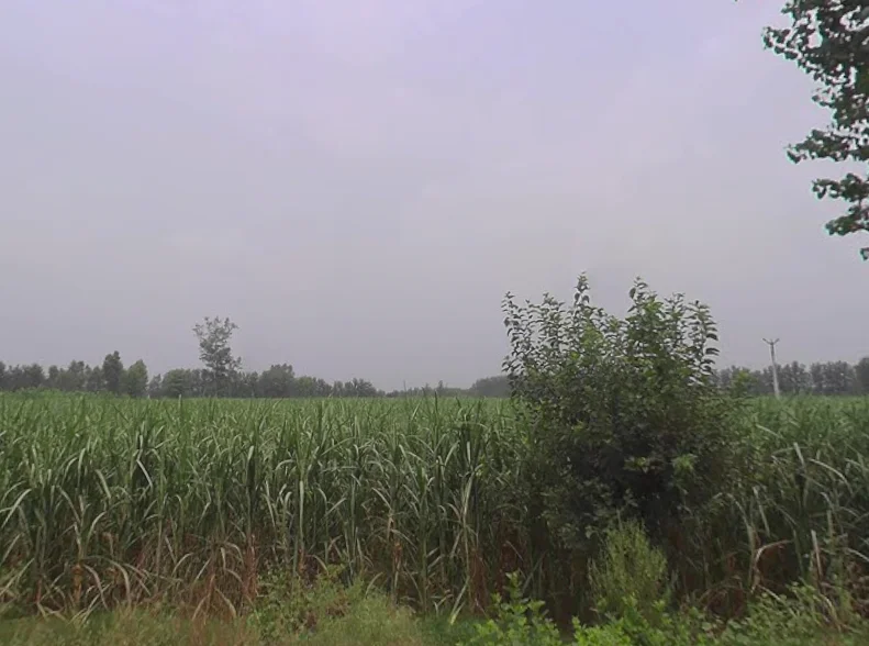 Behat, Uttar Pradesh 247121, India preview 3