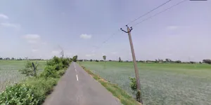 7Q8H+JRJ, Jalbera Rd, Majri, Haryana 133008, India preview 4