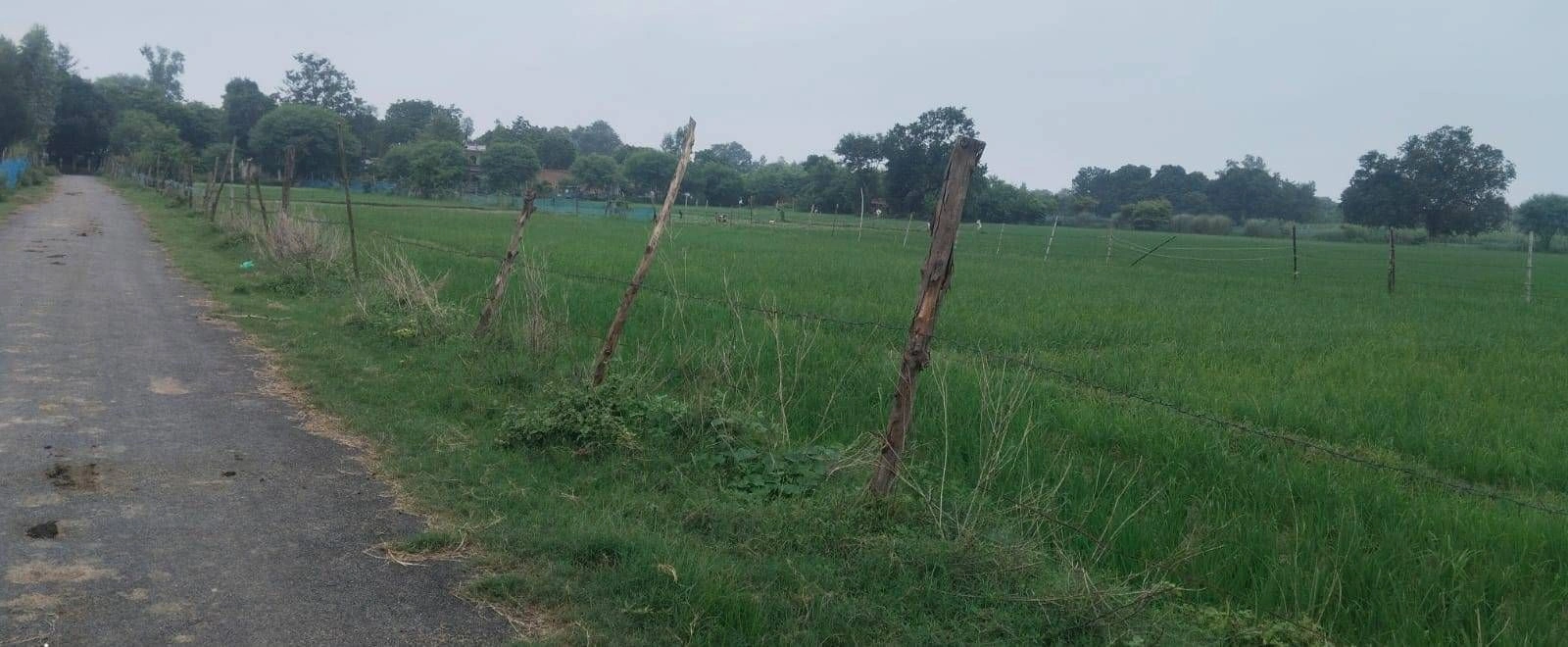 Q723+69 Sita Rampur, Ayodhya, Uttar Pradesh, India