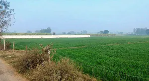 Dadri, Uttar Pradesh, India preview 3