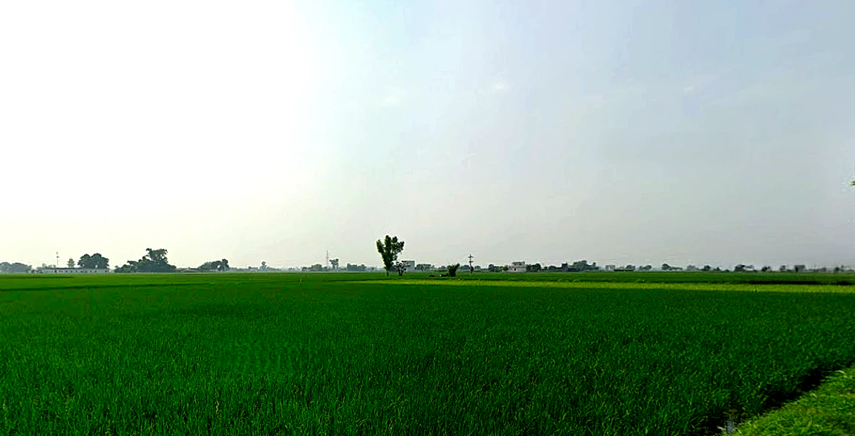 Beas, Punjab 143201, India