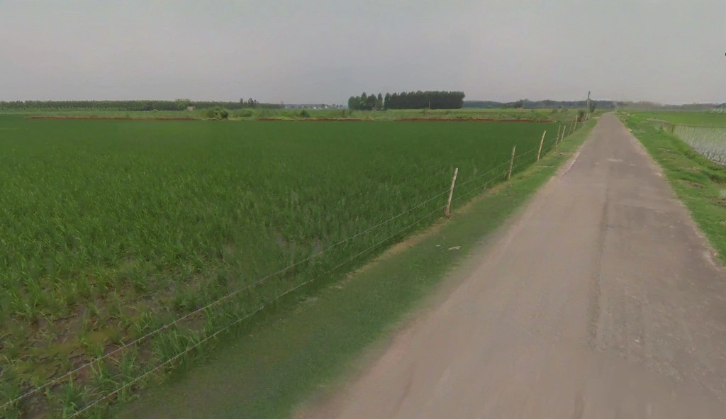 Kosa, Chhattisgarh, India