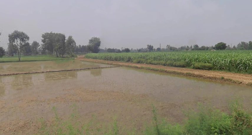 Anupshahar, Uttar Pradesh 203390, India