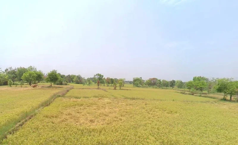 Teka, Chhattisgarh 493551, India preview 3