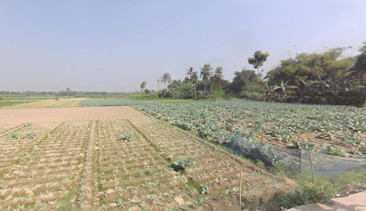 Berachampa, West Bengal 743424, India