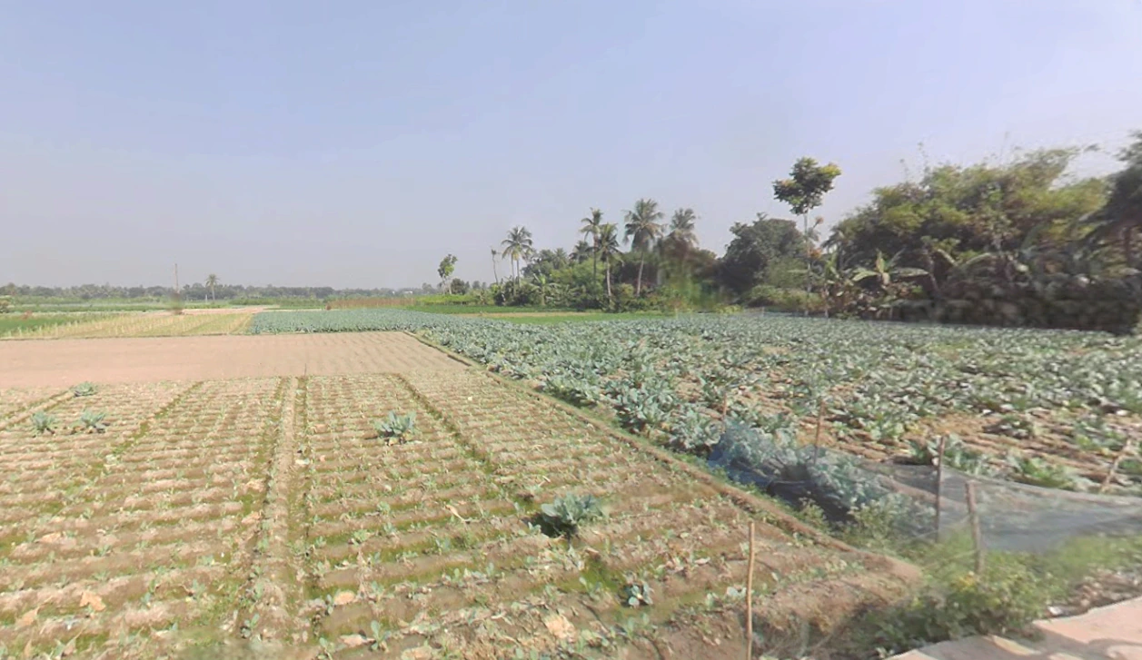 Berachampa, West Bengal 743424, India