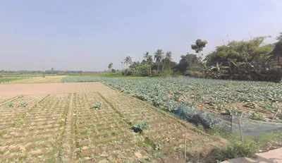 Berachampa, West Bengal 743424, India preview 3