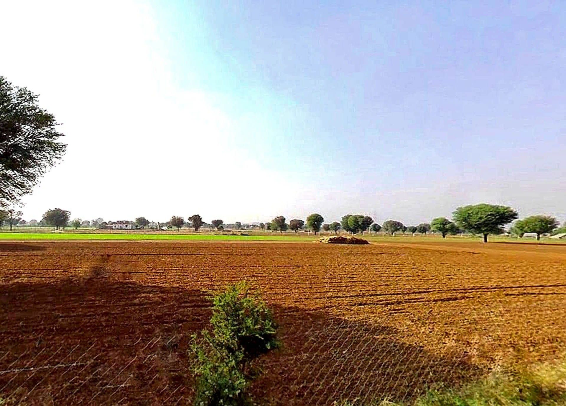 Dhani Boraj, Rajasthan 303328, India