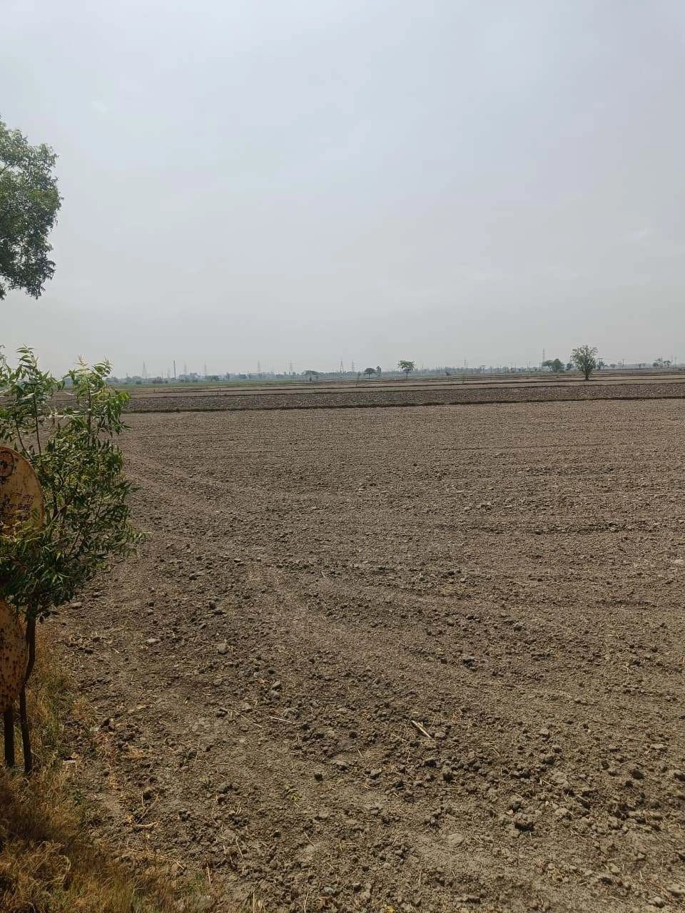 Aou, Rajasthan, India