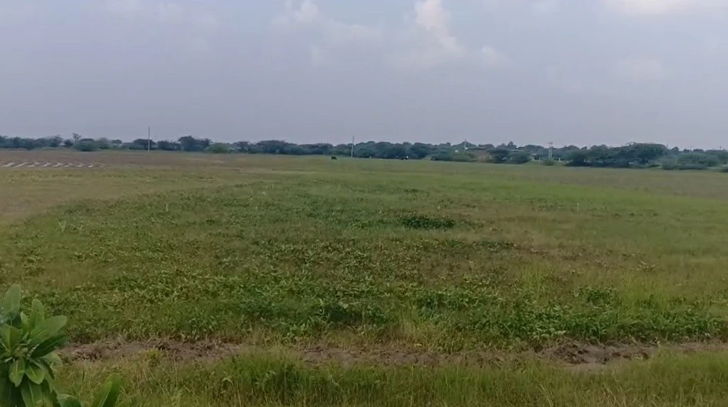 3RP2+M5 Sonwa, Rajasthan, India
