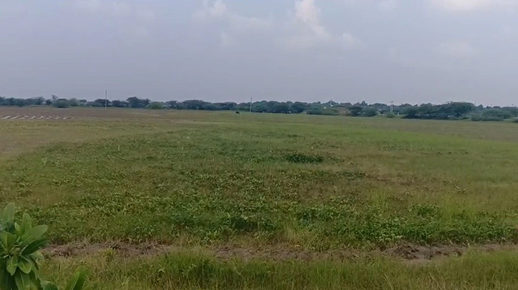 3RP2+M5 Sonwa, Rajasthan, India