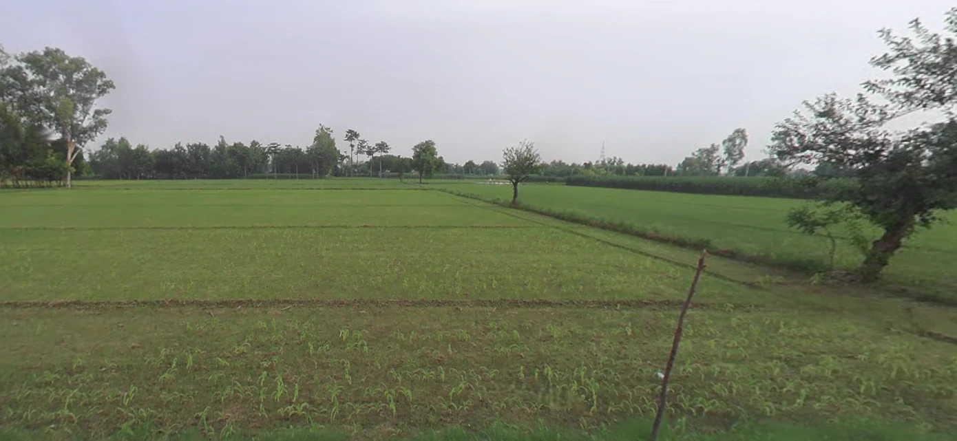 Mohanlalganj, Uttar Pradesh 226301, India
